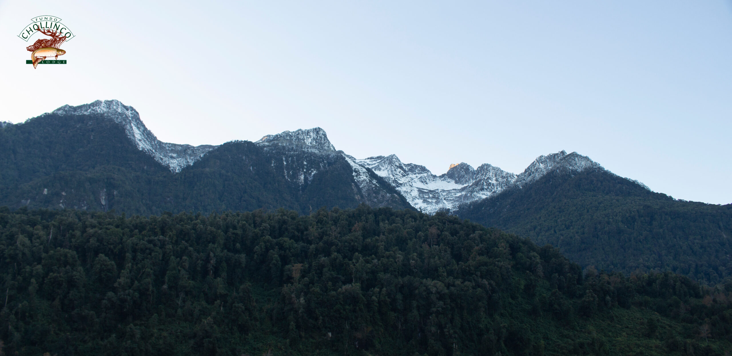 Bosque Chollinco, Vista